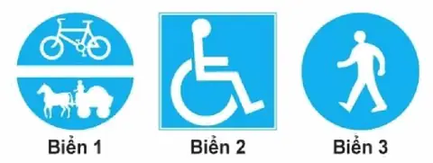 Bộ 250 Câu Hỏi Thi Sát Hạch Lái Xe Hạng A, A1 Năm 2026 Cau 204 hinh minh hoa