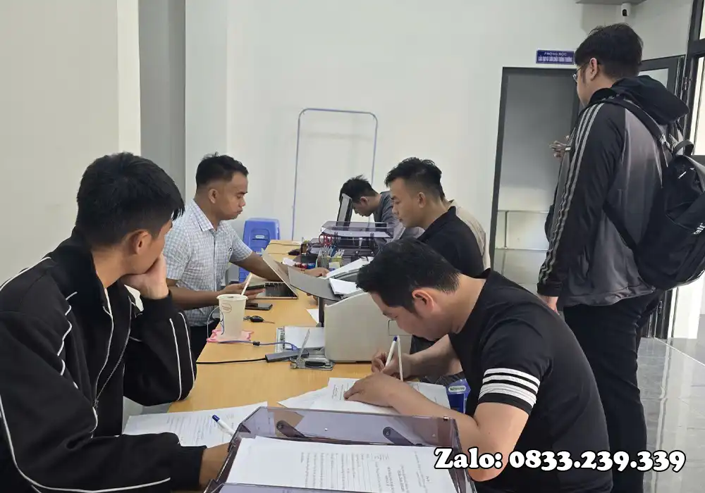 Luật Trật Tự An Toàn Giao Thông Năm 2024 Luật Trật Tự An Toàn Giao Thông Năm 2024
